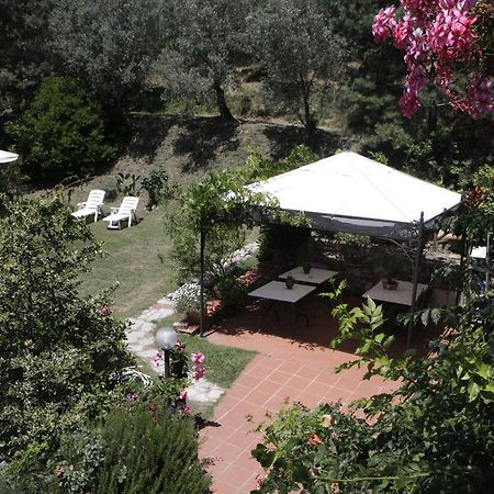 포스디노보 Casa Virgilio B&B 외부 사진