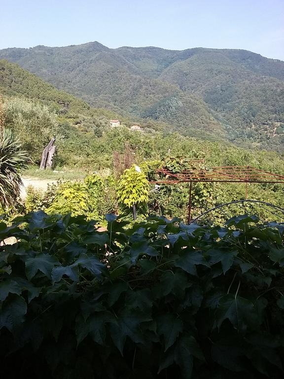 포스디노보 Casa Virgilio B&B 외부 사진