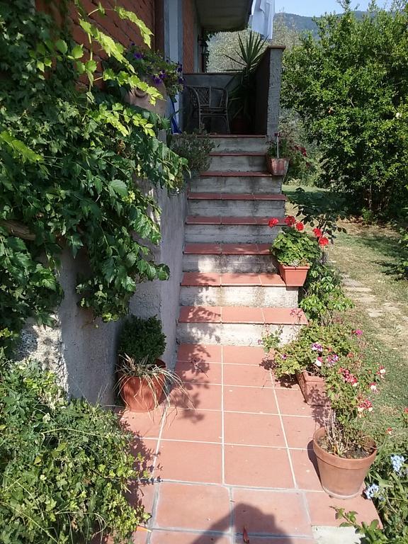 포스디노보 Casa Virgilio B&B 객실 사진
