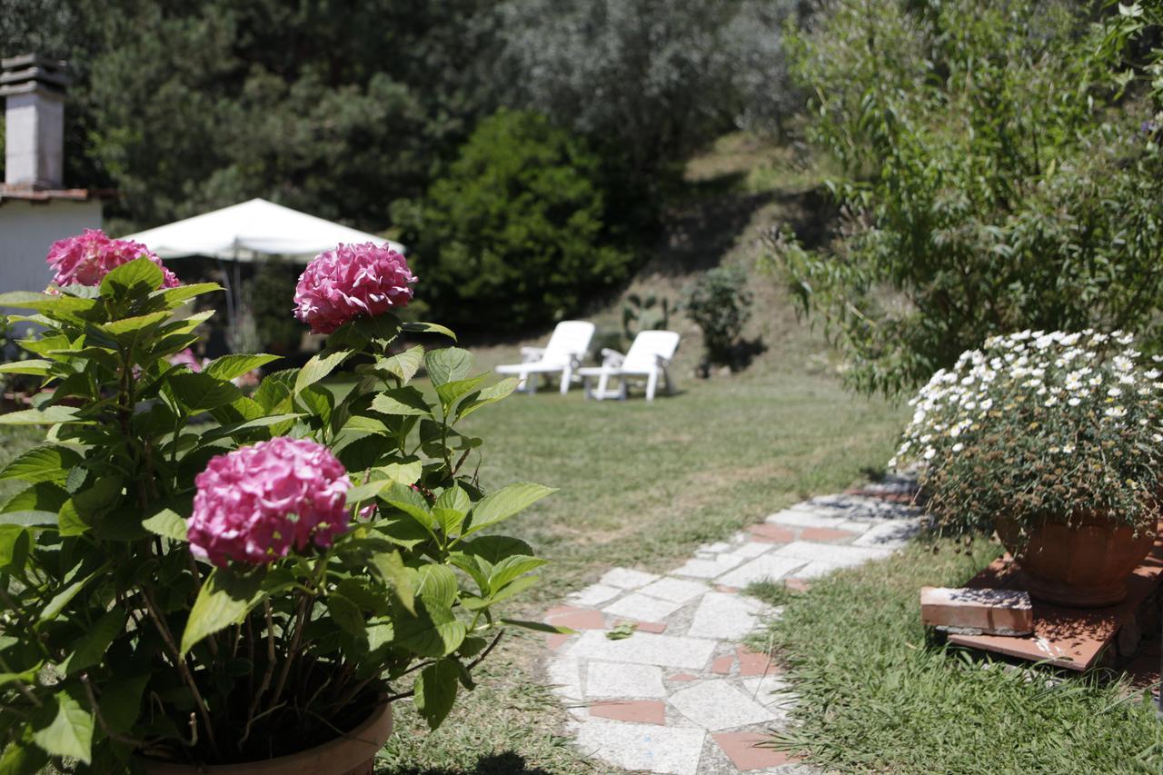 포스디노보 Casa Virgilio B&B 외부 사진