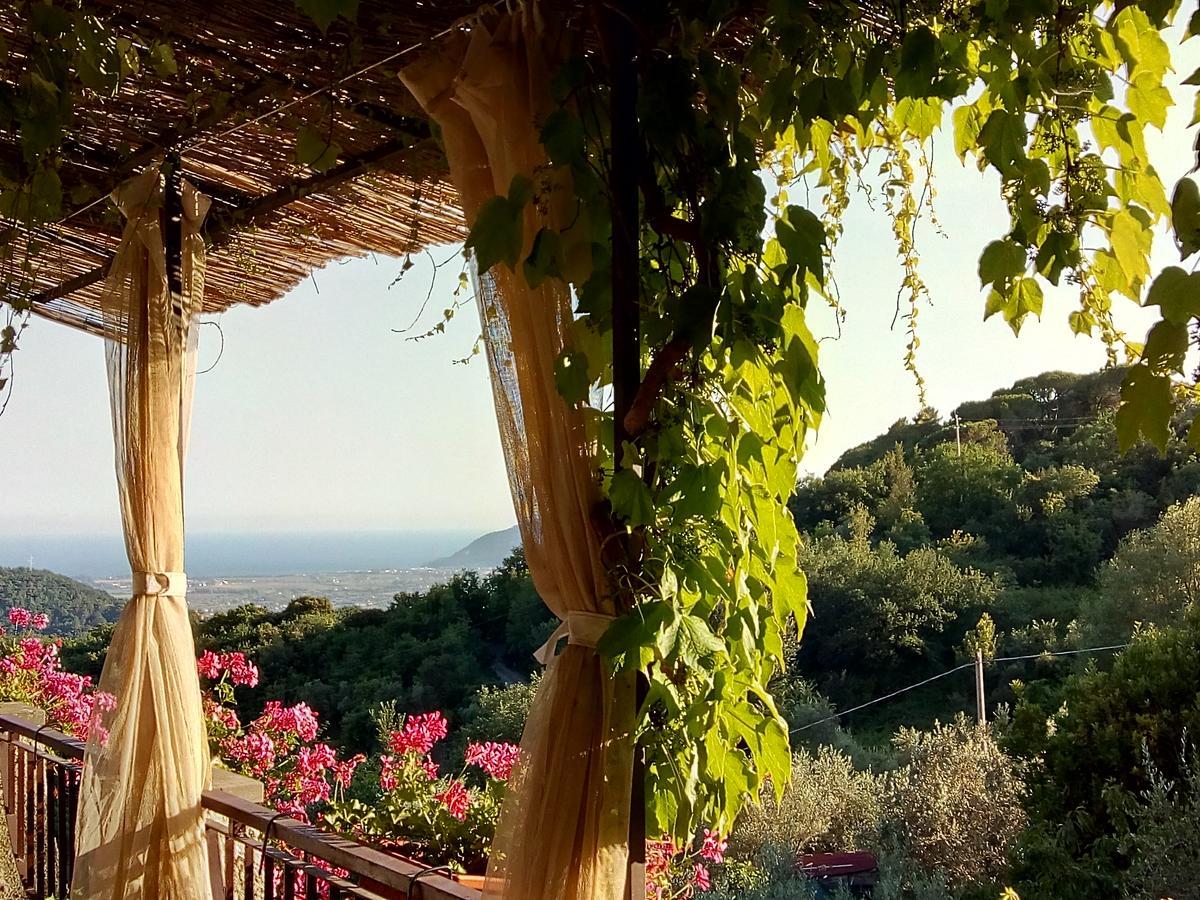 포스디노보 Casa Virgilio B&B 외부 사진